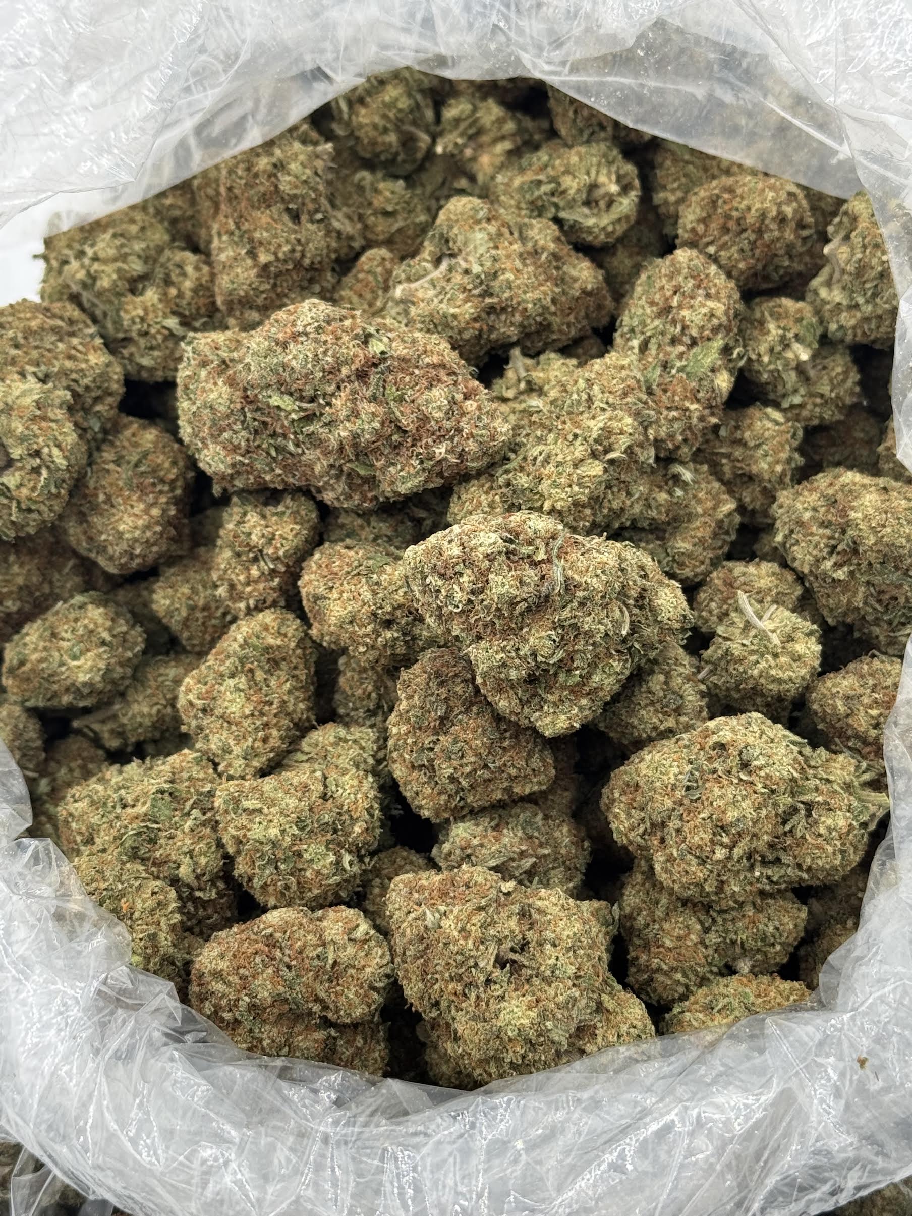 $675 LB Special "Alien Kush" (Indica)