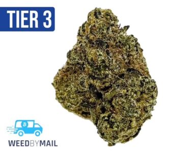 Tier 3 Sherbet (28.91% THC)(Hybrid)