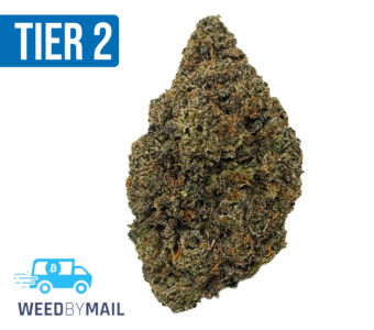 Tier 2 Master Kush (32.76% THC)(Indica)