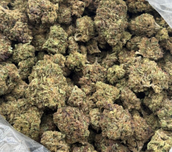 $550 LB Special “Abusive OG” (Indica)