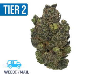 Tier 2 Strawberry Dream (32.86% THC) (Sativa)