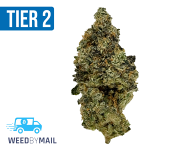 Tier 2 Pineapple Fruz (32.98% THC) (Sativa)