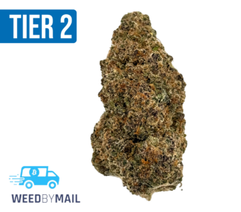 Tier 2 Candy Jack (32.86% THC) (Sativa)