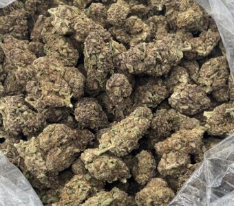 $450 LB Special “Space Needle” (Sativa)