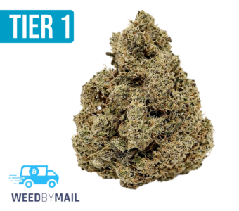 Tier 1 Gorilla Butter (36.96% THC)(Hybrid)