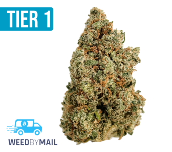 Tier 1 Jack Herer (36.87% THC)(Sativa)