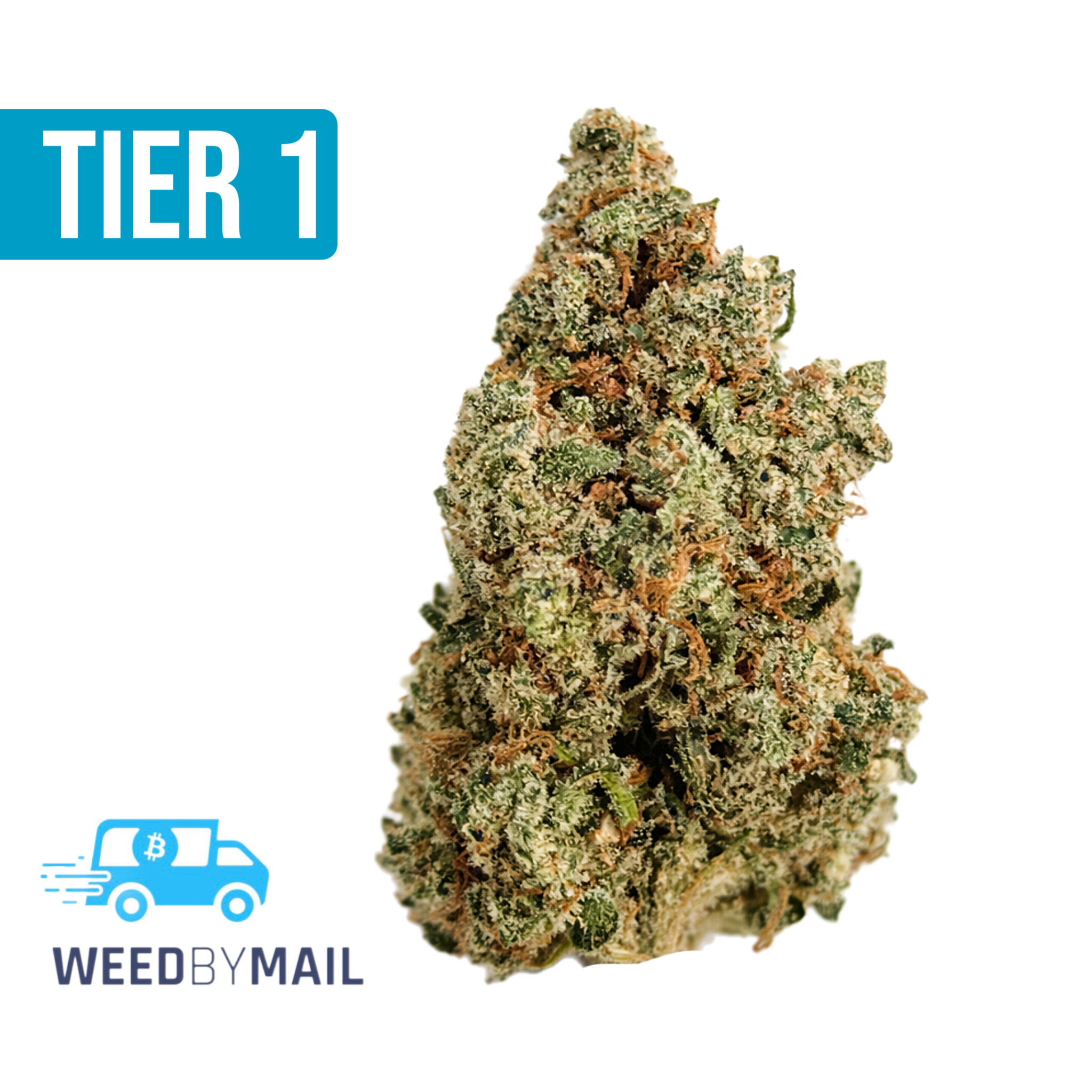 Tier 1 Jack Herer (36.87% THC)(Sativa)