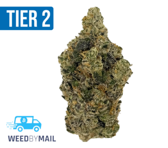 Tier 2 Grease Monkey (32.95% THC)(Hybrid)