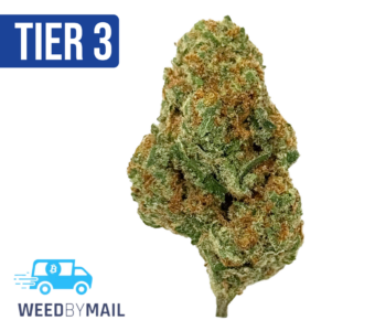 Tier 3 Papaya (28.86% THC) (Indica)