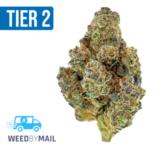 Tier 2 Apple Fritter (32.83% THC)(Hybrid)