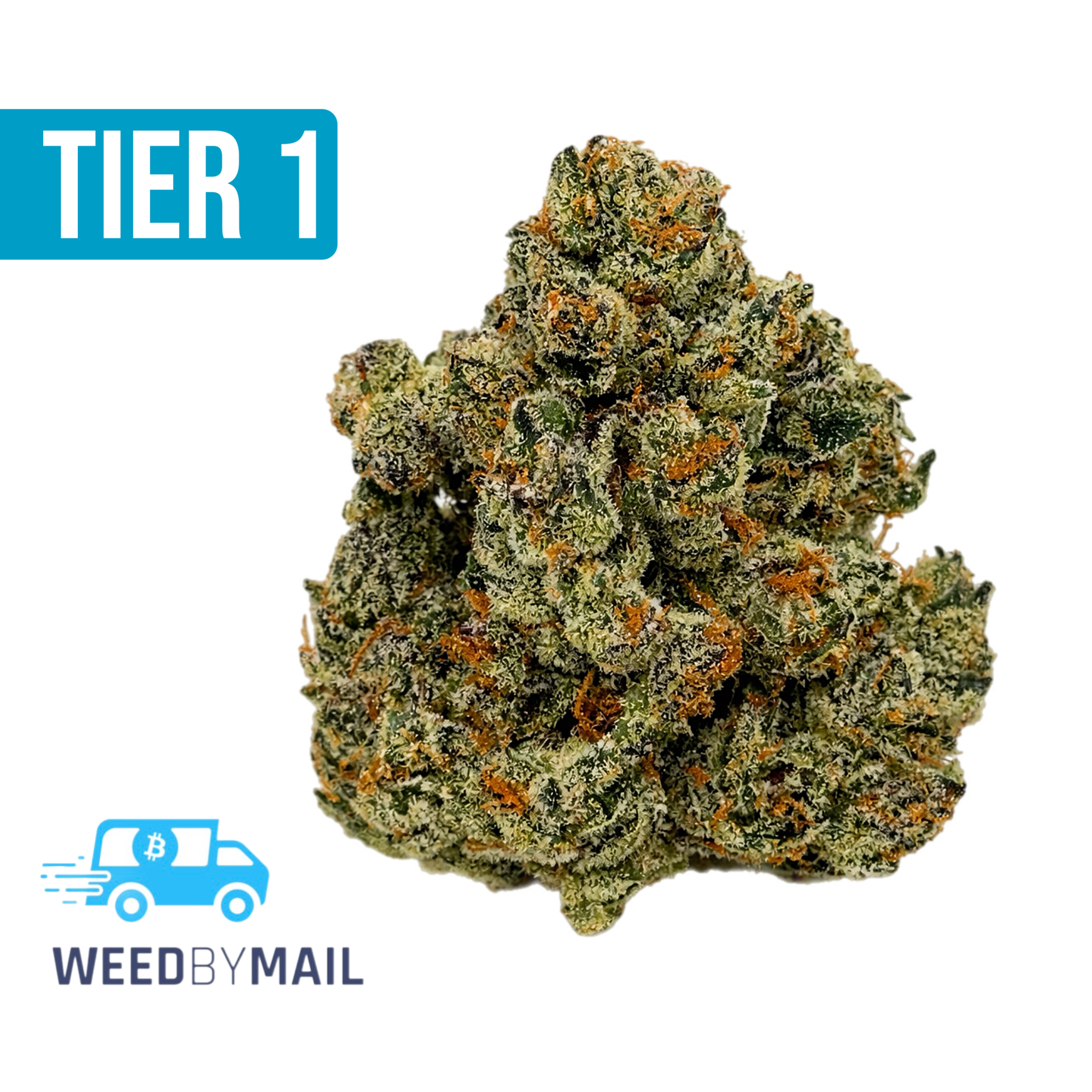 Tier 1 Gelato #41 (36.92% THC)(Hybrid)