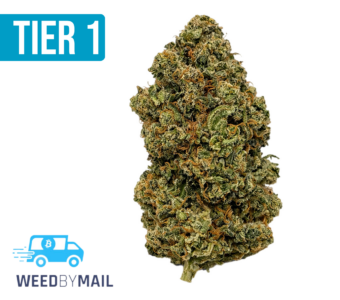 Tier 1 Face Off OG (35.84% THC)(Indica)