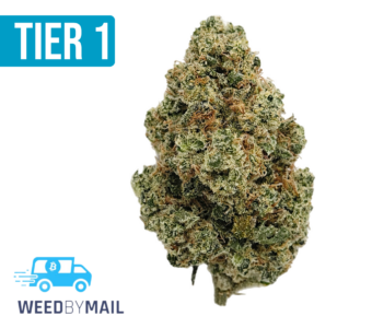 Tier 1 Lemon Cheesecake (36.98% THC)(Sativa)