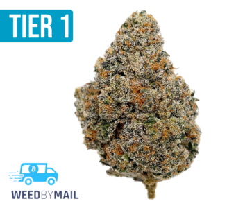 Tier 1 The Original Z (35.93% THC)(Indica)