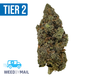 Tier 2 Romulan (32.91% THC)(Indica)