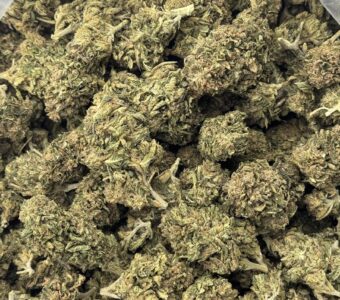 $300 LB Special “Permanent Marker” (Hybrid)