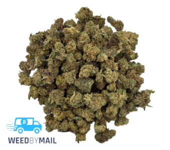 Tier 2 (Small Buds) Gumbo (31.87% THC)(Indica)