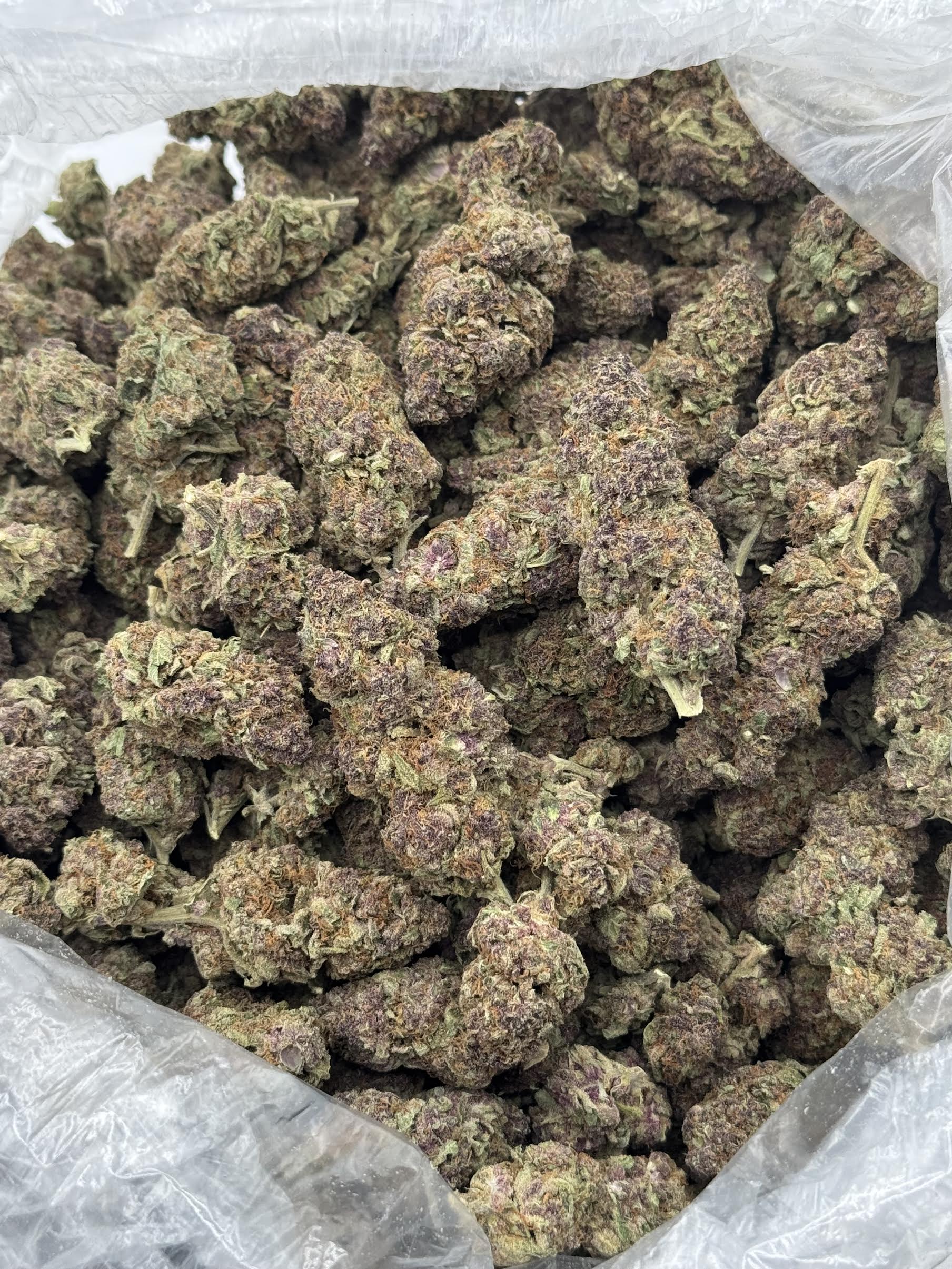 $600 LB Special "Purple Tangie" (Sativa)