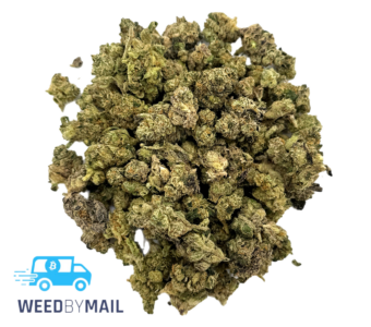 Tier 2 (Small Buds) Sherbet (31.84% THC)(Hybrid)