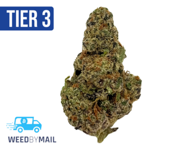 Tier 3 Glitter Bomb (28.89% THC) (Sativa)