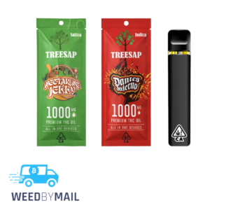 Treesap – 1G Disposable Pen (6 Options)