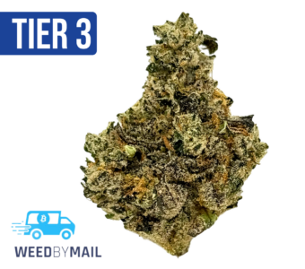 Tier 3 Apple Gelato (28.92% THC)(Hybrid)
