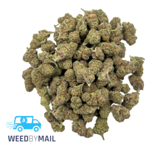 Tier 2 (Small Buds) Purple Champagne (31.87% THC)(Sativa)