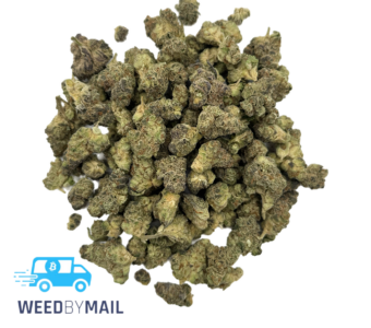 Tier 2 (Small Buds) Grape Gasoline (31.96% THC)(Hybrid)