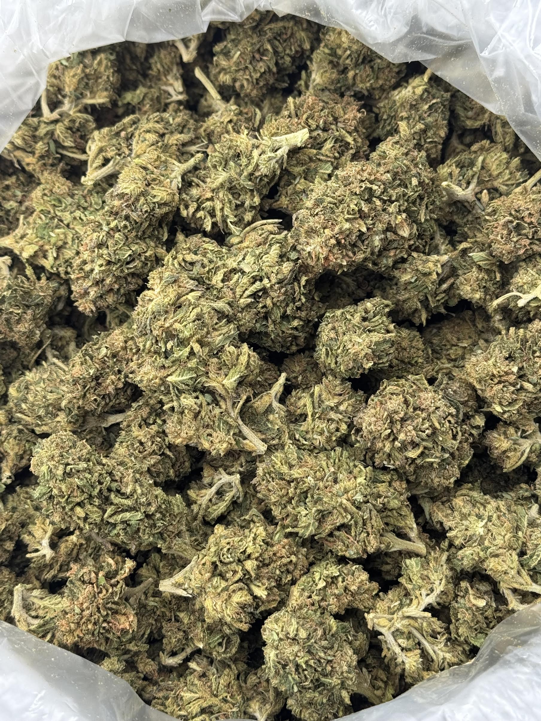 $300 LB Special "Permanent Marker" (Hybrid)