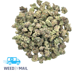 Tier 2 (Small Buds) Cherry Pie (31.87% THC)(Hybrid)