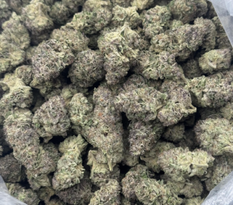 $750 LB Special “Ghost Ship” (Indica)