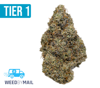 Tier 1 Donny Burger (35.86% THC)(Indica)