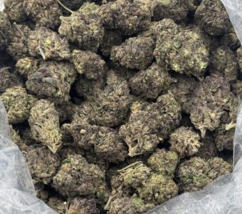 $750 LB Special – Granimals (Hybrid)