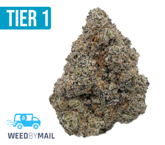 Tier 1 Hash Burger (36.94% THC)(Hybrid)