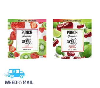 Punch – 100mg Gummies (2 Options)