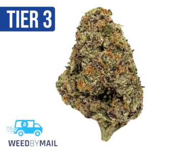 Tier 3 Mimosa Punch (28.88% THC) (Hybrid)