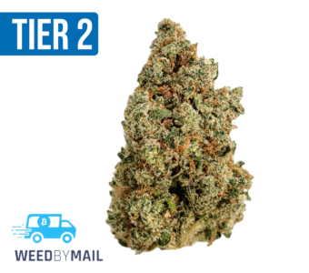 Tier 2 Jack Herer (32.88% THC) (Sativa)