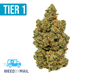 Tier 1 Green Crack (36.96% THC)(Sativa)