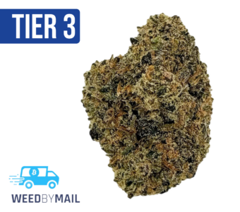 Tier 3 Zelly’s Gift (28.96% THC) (Sativa)