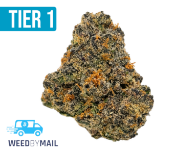 Tier 1 Gelato 41 (36.94% THC)(Hybrid)