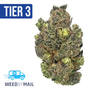 Tier 3 Blueberry Blast (28.91% THC) (Sativa)
