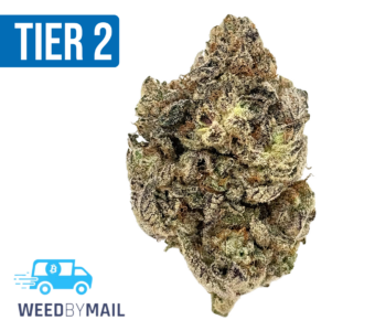 Tier 2 Cherry Kool Whip (32.87% THC)(Hybrid)