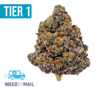 Tier 1 Slurricane (35.89% THC)(Indica)
