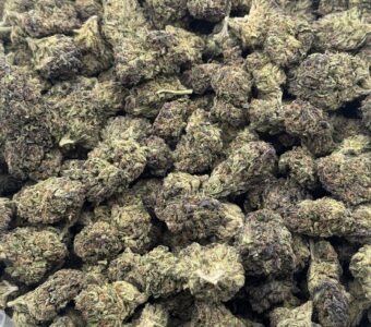 $550 LB Special – Girl Scout Cookies (Hybrid)