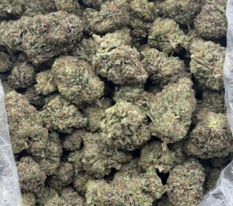 $750 LB Special – Pink Bubba (Indica)