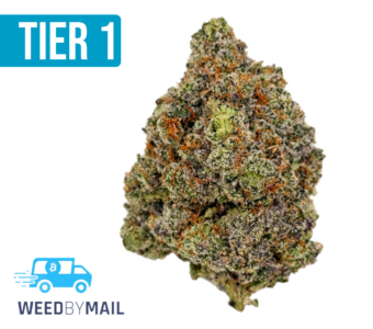 Tier 1 Testarossa (35.86% THC)(Indica)