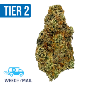 Tier 2 XXX OG (32.83% THC)(Indica)