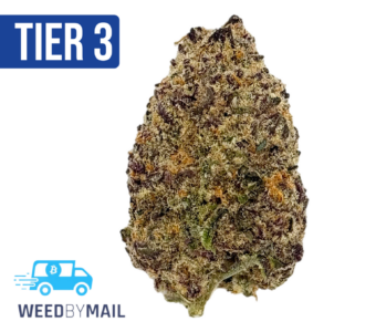 Tier 3 Mimosa (28.94% THC) (Sativa)