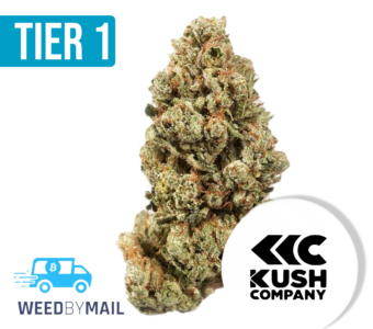 Tier 1 Kushco OG (35.93% THC)(Indica)
