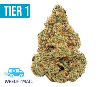 Tier 1 Larry OG (35.97% THC)(Indica)